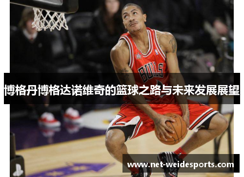 博格丹博格达诺维奇的篮球之路与未来发展展望